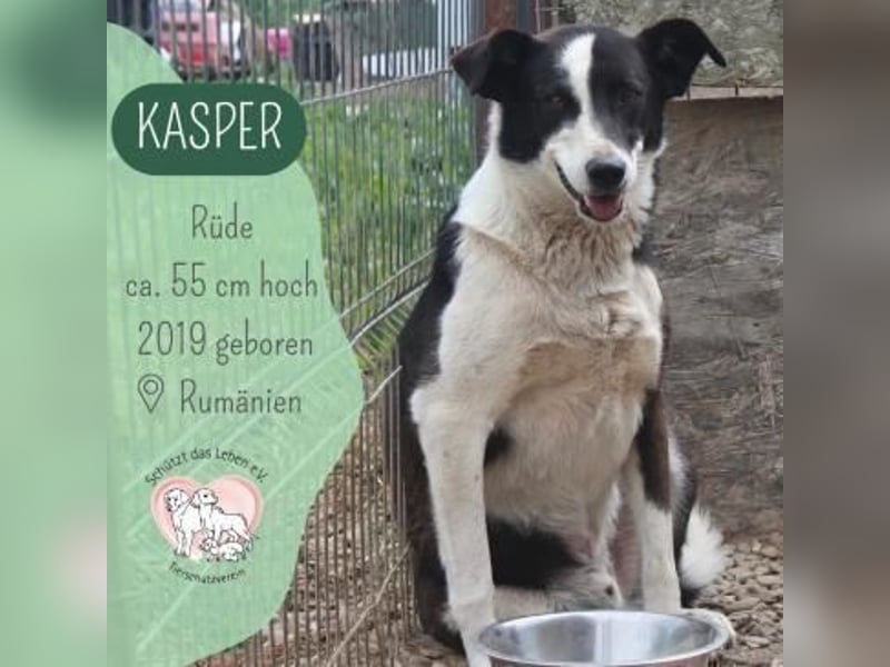 Kasper wünscht sich eine schöne Zukunft