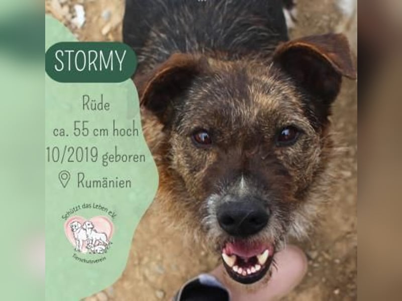STROMY möchte endlich ankommen