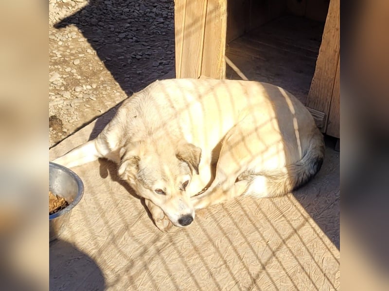 FLOKI - zeigst du mir die Welt?