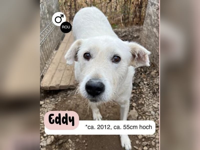 Liebevoller Opa EDDy