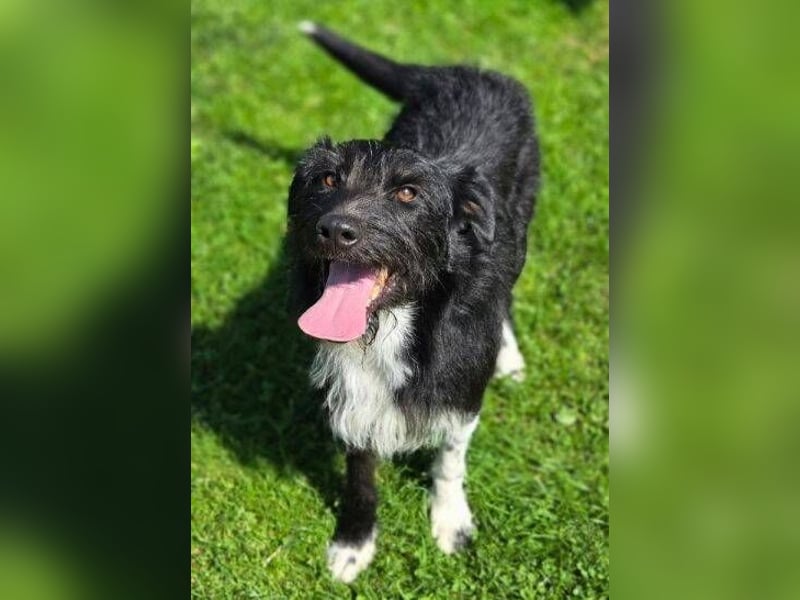 COOPER ist besonders lieb