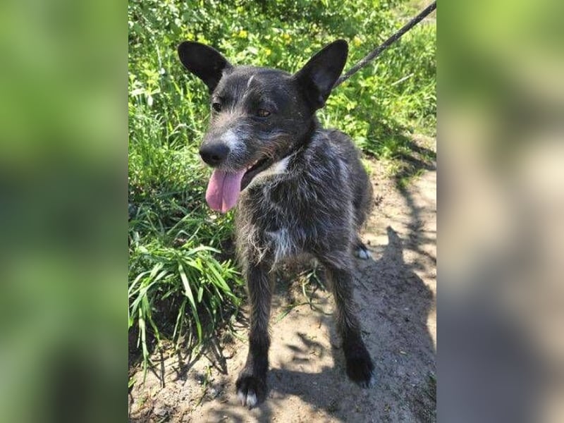 CHUBY sucht sein Glück
