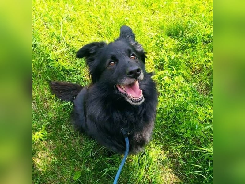 BENJI braucht ein warmes Körbchen
