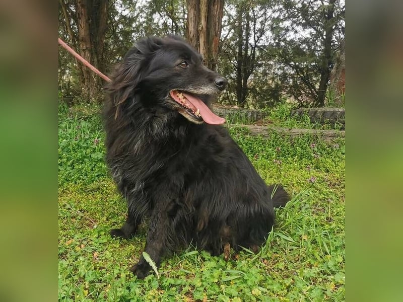 BENJI braucht ein warmes Körbchen