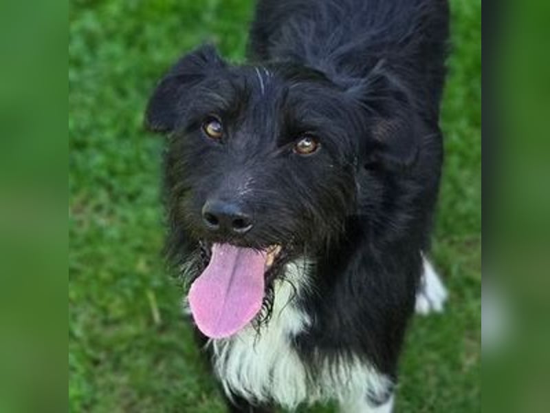 COOPER ist besonders lieb