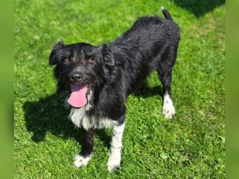 COOPER ist besonders lieb