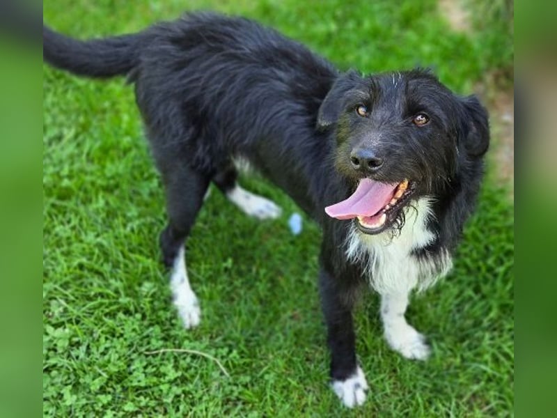 COOPER ist besonders lieb