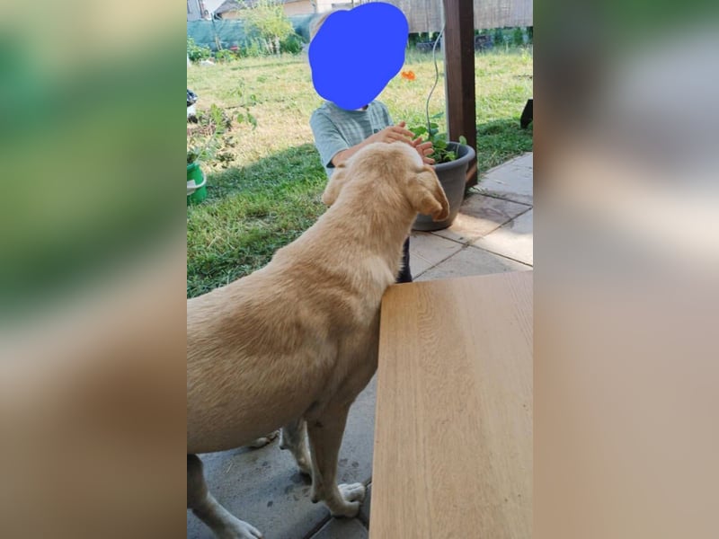 REXI ist ein Goldschatz