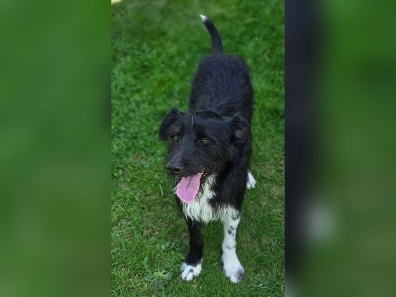COOPER ist besonders lieb