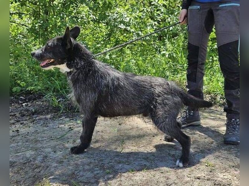 CHUBY sucht sein Glück
