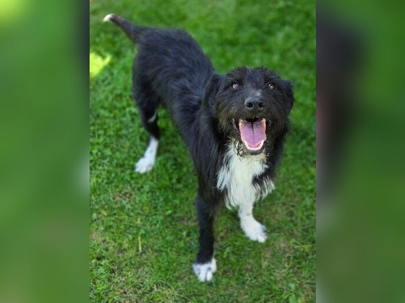 COOPER ist besonders lieb