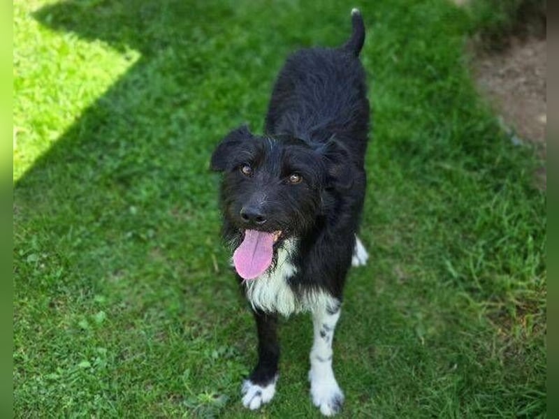 COOPER ist besonders lieb