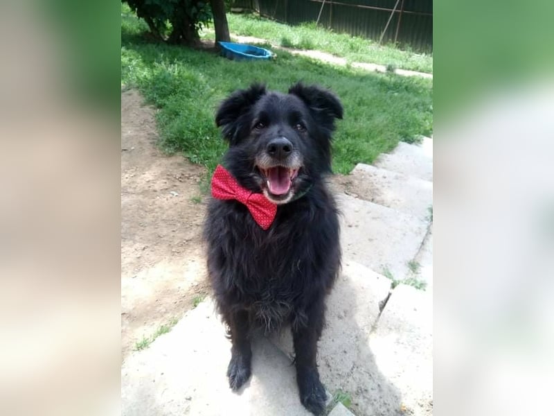 BENJI braucht ein warmes Körbchen