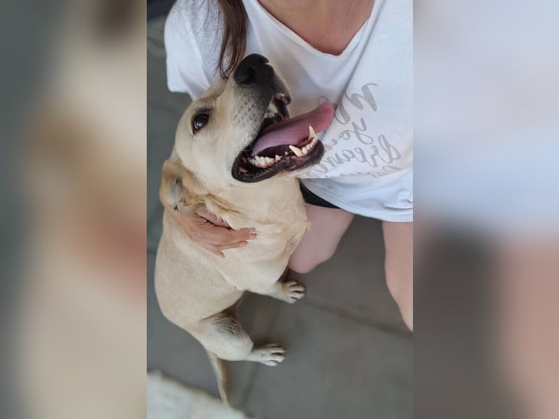 REXI ist ein Goldschatz