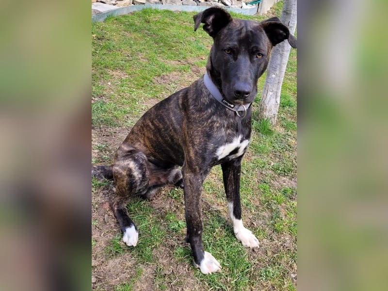 Sox wartet so lange auf seine 2. Chance