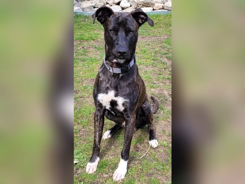 Sox wartet so lange auf seine 2. Chance