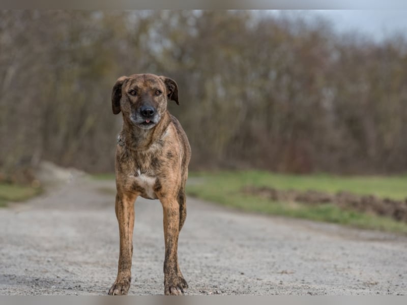 ❤️ MATI Pflegefamilie 71139 Ehningen