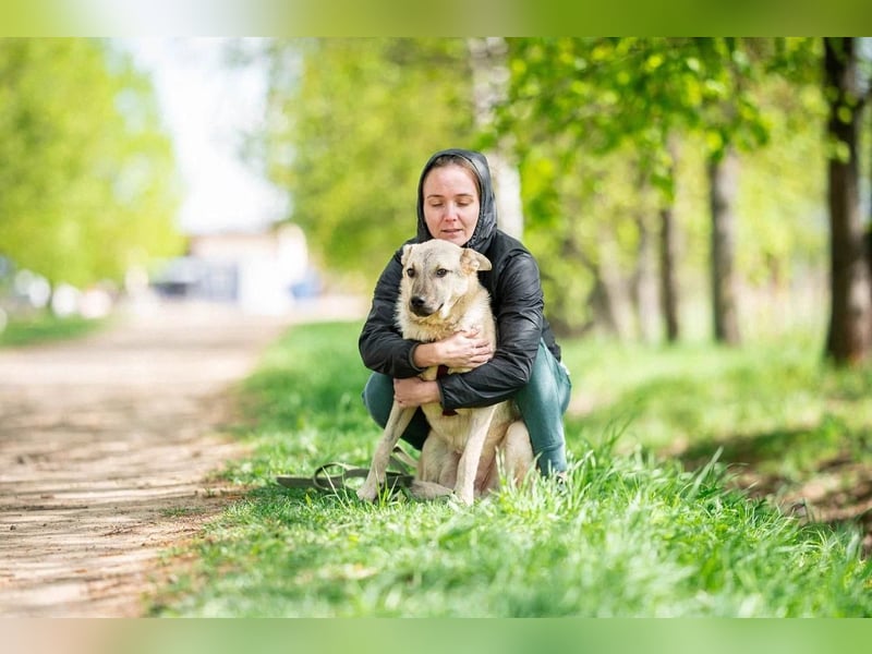 Sanfter Hundejunge Brick ❤️ sucht liebevolle Familie