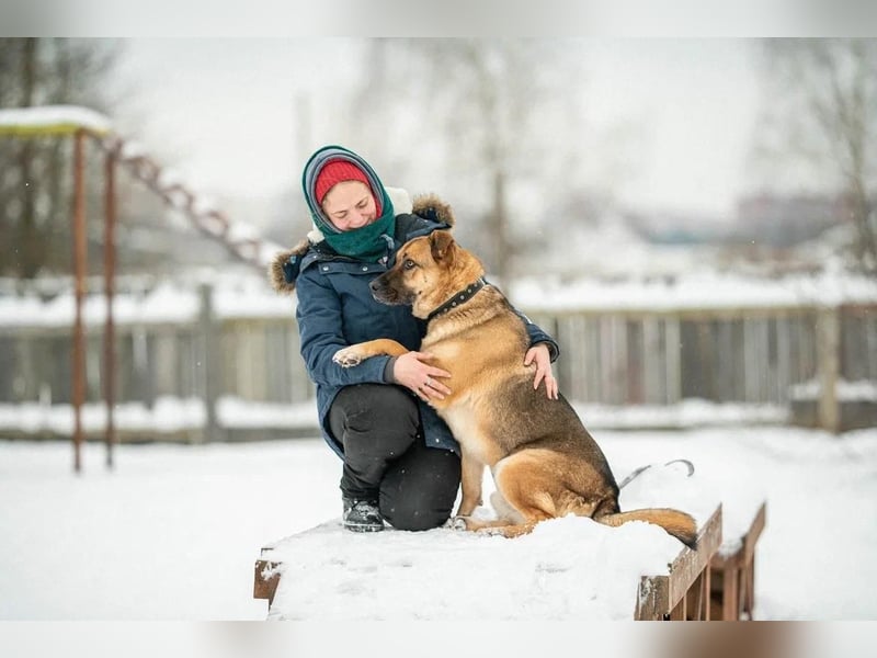 Freundlicher Riese Jack ❤️ sucht eine Familie