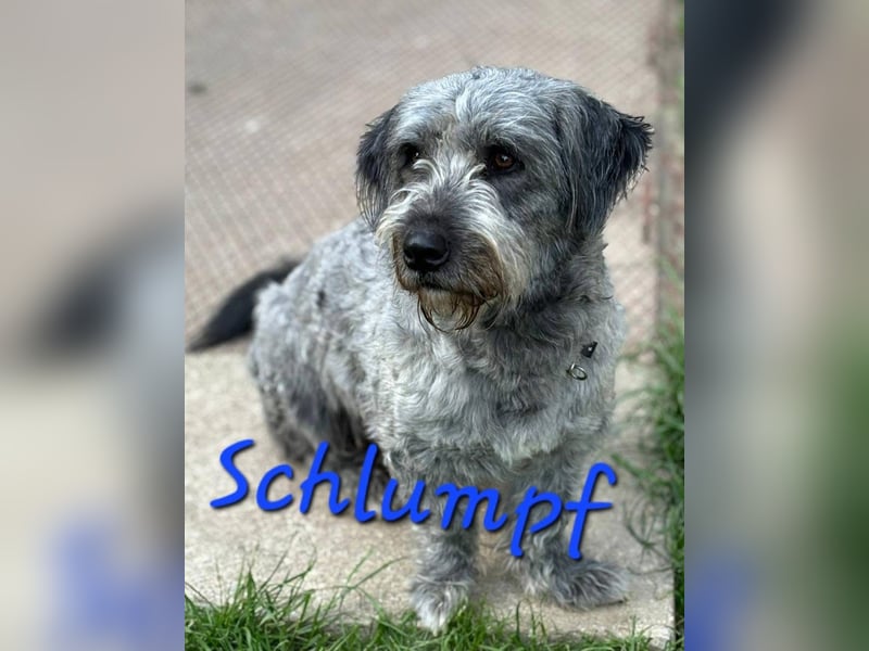 Unser kleiner Schlumpf
