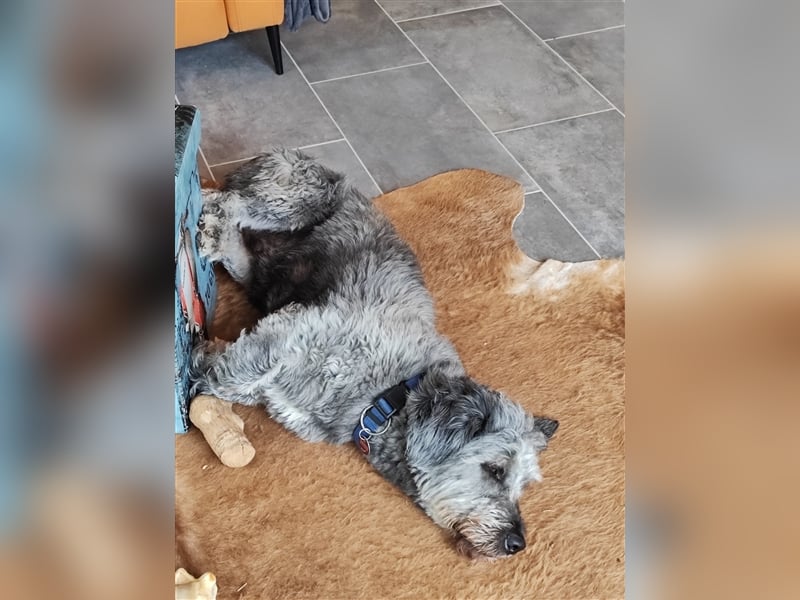 Unser kleiner Schlumpf