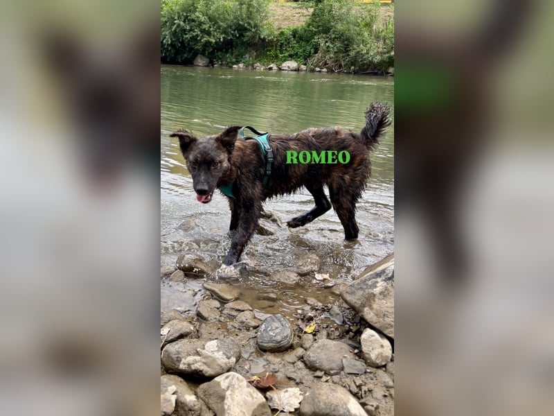 Romeo