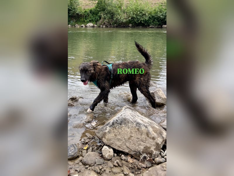 Romeo