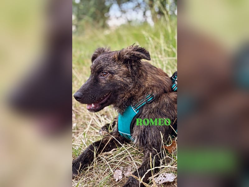 Romeo