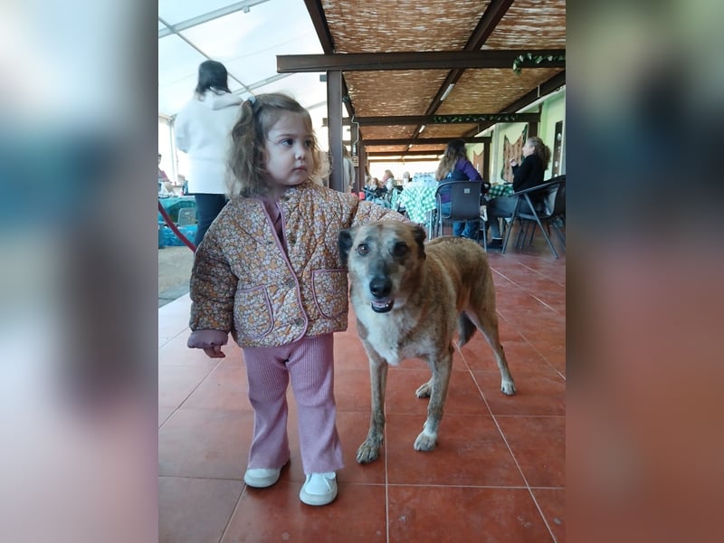BALOU sucht sein Glück