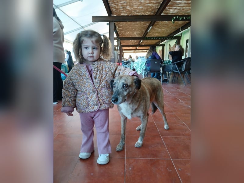 BALOU sucht sein Glück