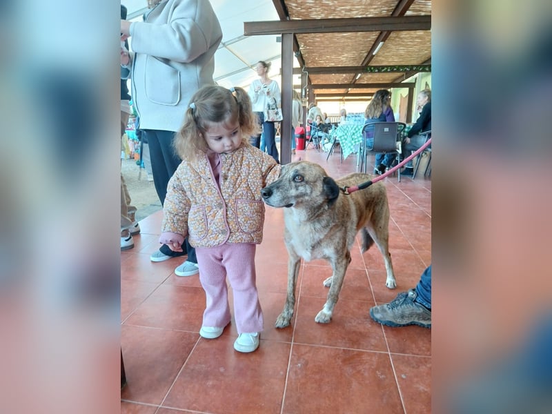 BALOU sucht sein Glück