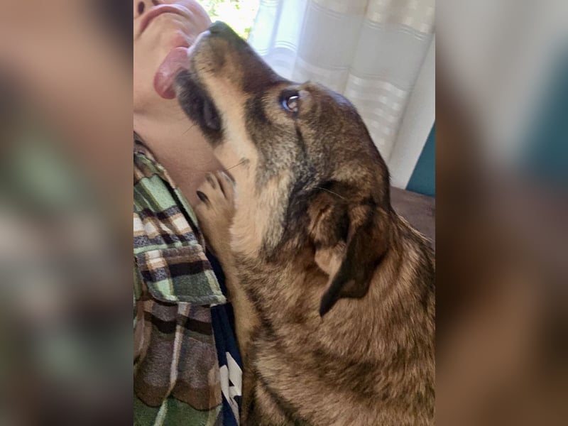 ❤️ Seelenhund Flori sucht Menschen mit Herz und Hundeverstand ❤️