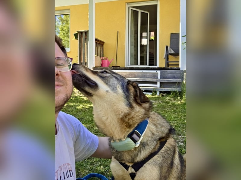 ❤️ Seelenhund Flori sucht Menschen mit Herz und Hundeverstand ❤️