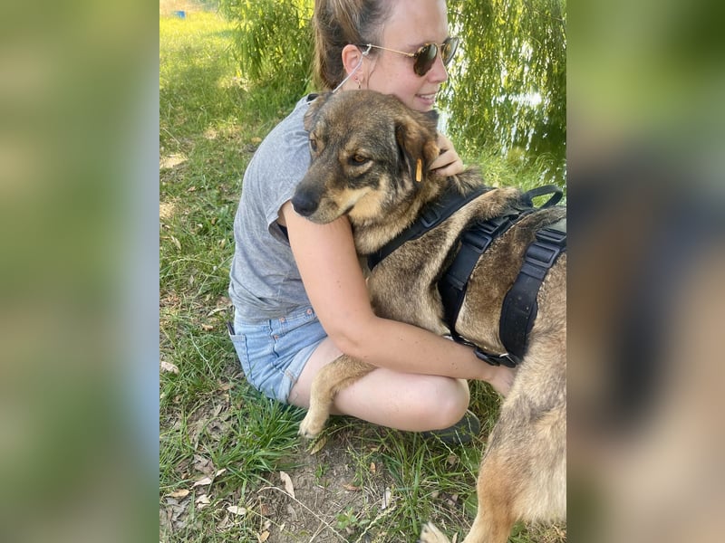 ❤️ Seelenhund Flori sucht Menschen mit Herz und Hundeverstand ❤️