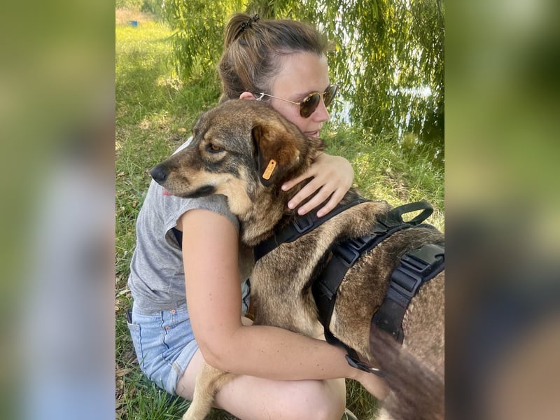 ❤️ Seelenhund Flori sucht Menschen mit Herz und Hundeverstand ❤️