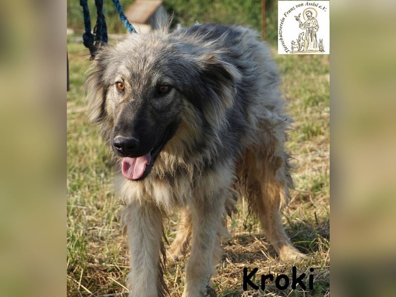 Kroki – Willst du Teil seines Lebens sein?