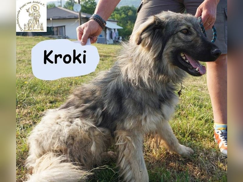 Kroki – Willst du Teil seines Lebens sein?