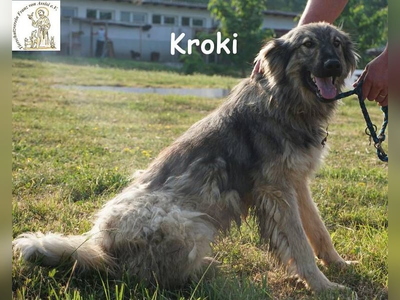 Kroki – Willst du Teil seines Lebens sein?