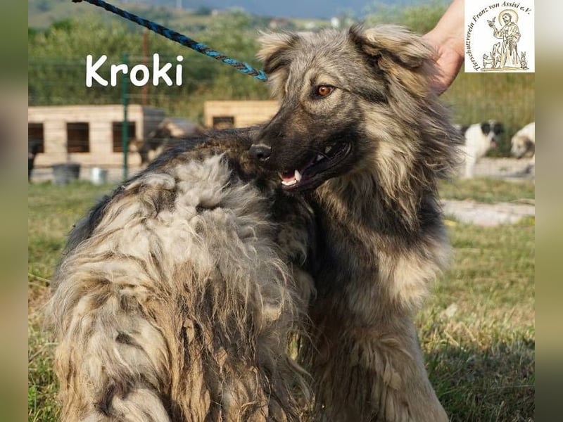 Kroki – Willst du Teil seines Lebens sein?