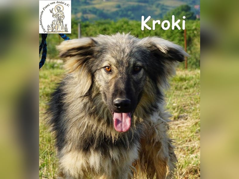 Kroki – Willst du Teil seines Lebens sein?