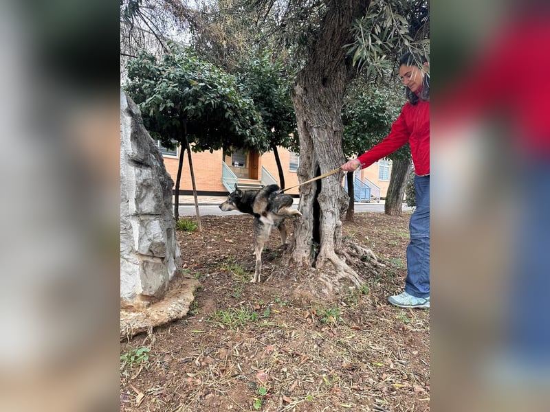 LOBITO