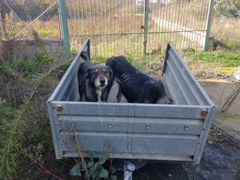 LOBITO