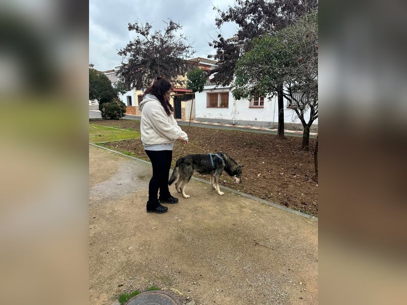 LOBITO