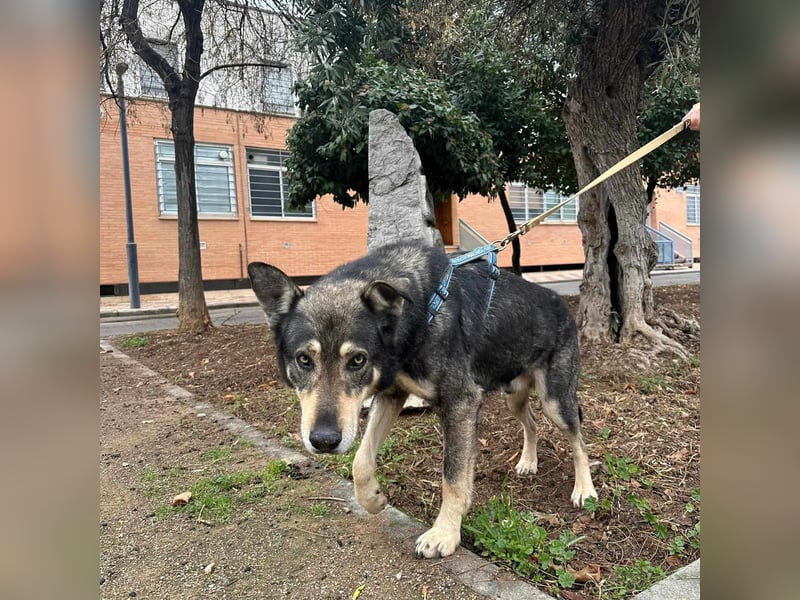 LOBITO