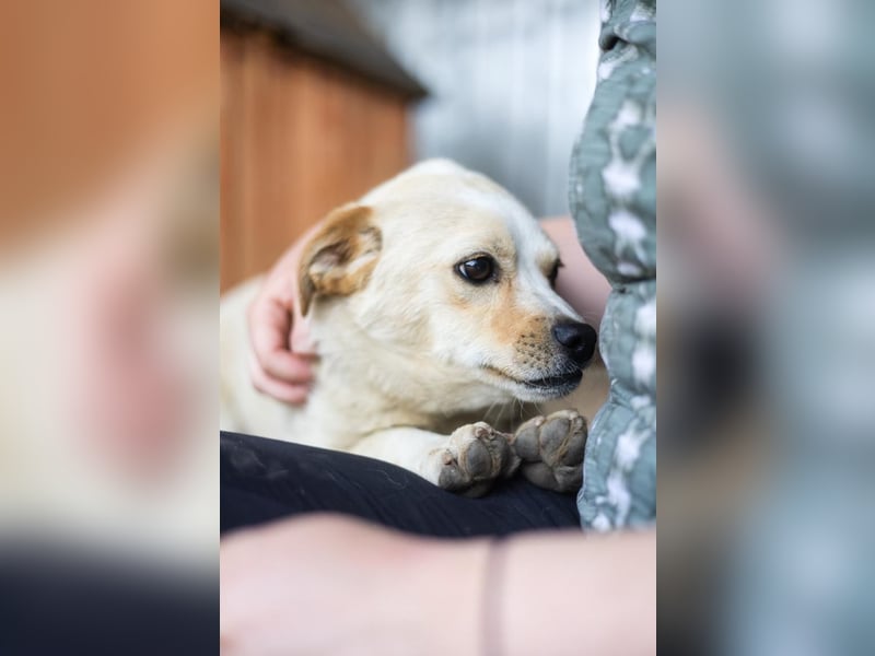 SPARKIE-wünscht sich nichts mehr, als ein Leben lang sicher und behütet zu sein.