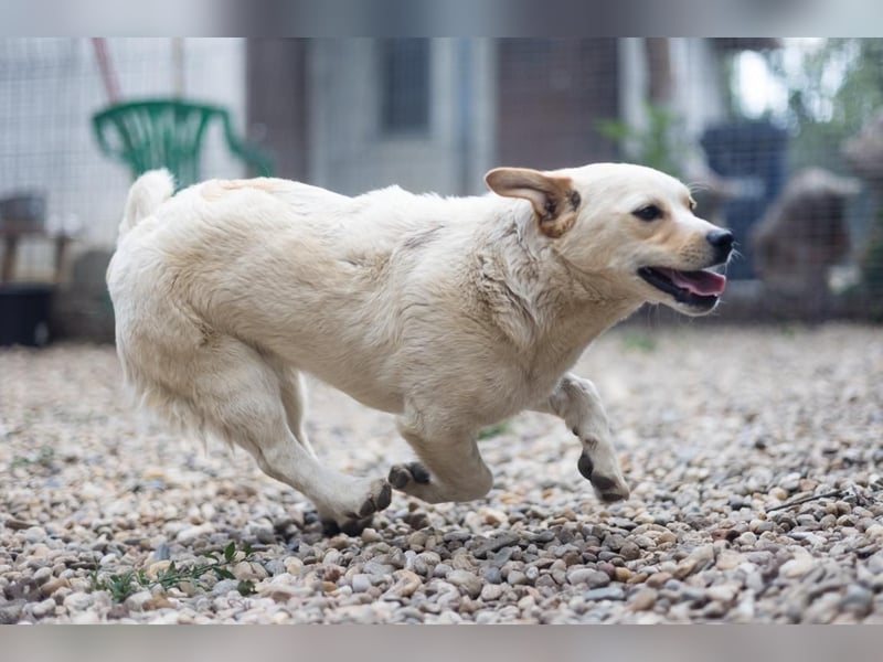 SPARKIE-wünscht sich nichts mehr, als ein Leben lang sicher und behütet zu sein.