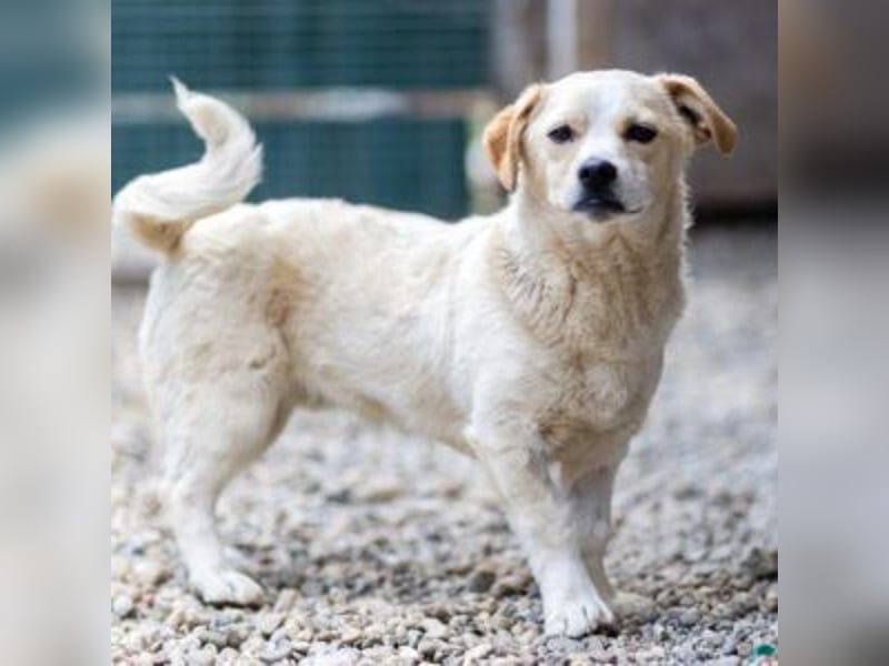 SPARKIE-wünscht sich nichts mehr, als ein Leben lang sicher und behütet zu sein.