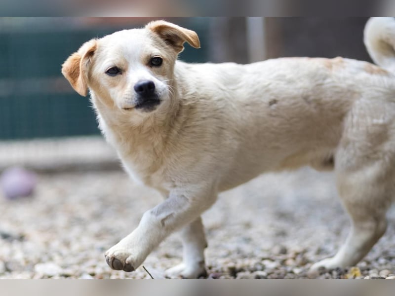 SPARKIE-wünscht sich nichts mehr, als ein Leben lang sicher und behütet zu sein.