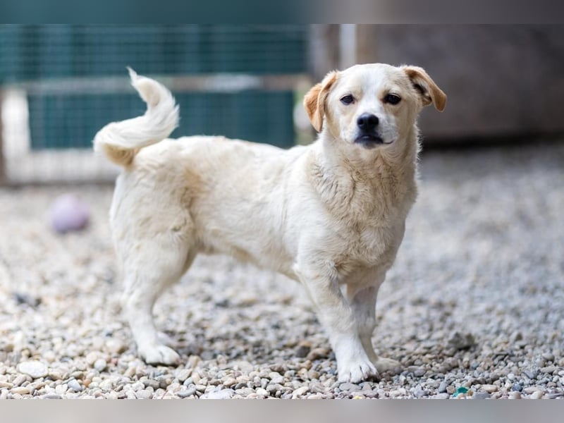 SPARKIE-wünscht sich nichts mehr, als ein Leben lang sicher und behütet zu sein.