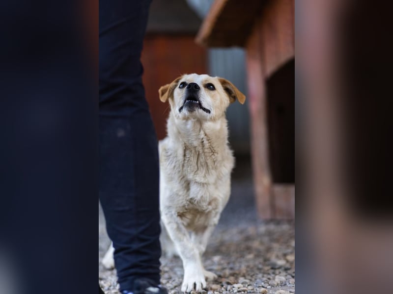 SPARKIE-wünscht sich nichts mehr, als ein Leben lang sicher und behütet zu sein.